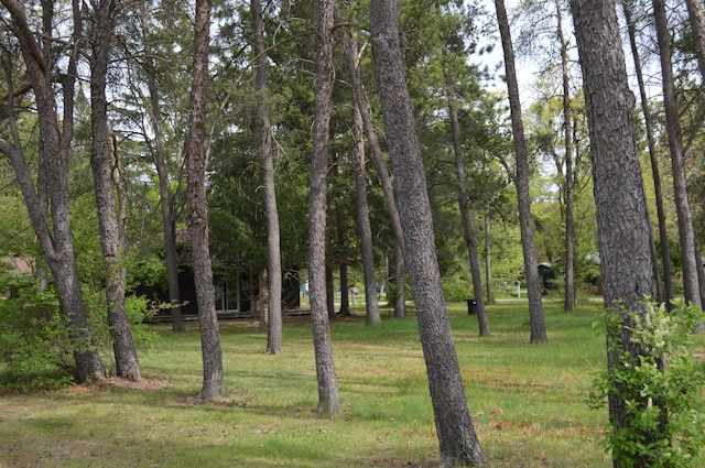 704 10th St, Mio, MI 48647 - view of undeveloped land