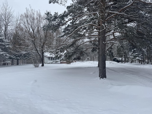 view of yard covered in snow