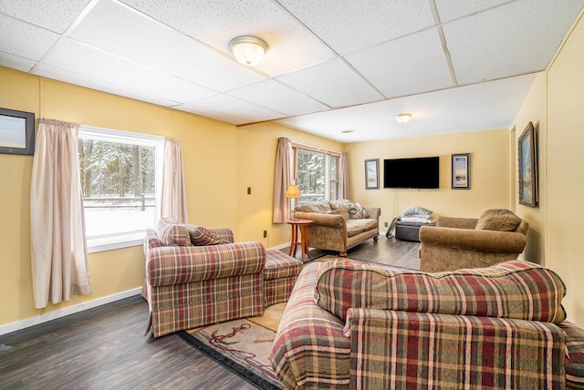 living area featuring a healthy amount of sunlight, a paneled ceiling, and wood finished floors