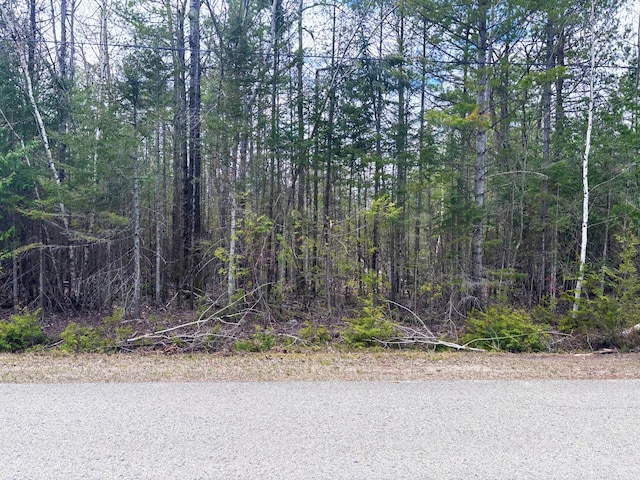 LOT249 Kauffman Rd, Presque Isle, MI 49777 - photo 3