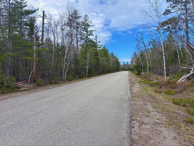 LOT249 Kauffman Rd, Presque Isle, MI 49777 - photo 4