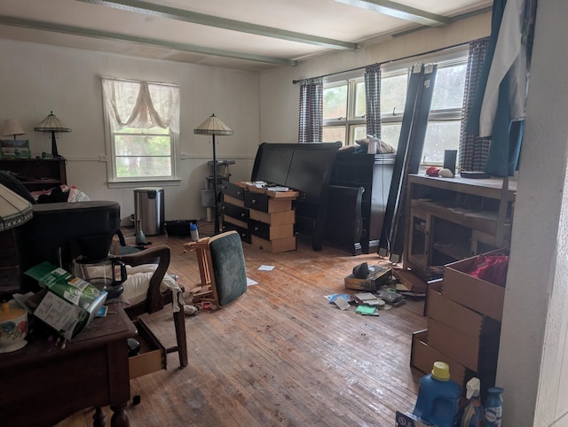 office featuring beam ceiling, a wealth of natural light, and hardwood / wood-style flooring