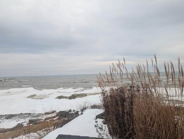 view of water feature featuring a view of the beach