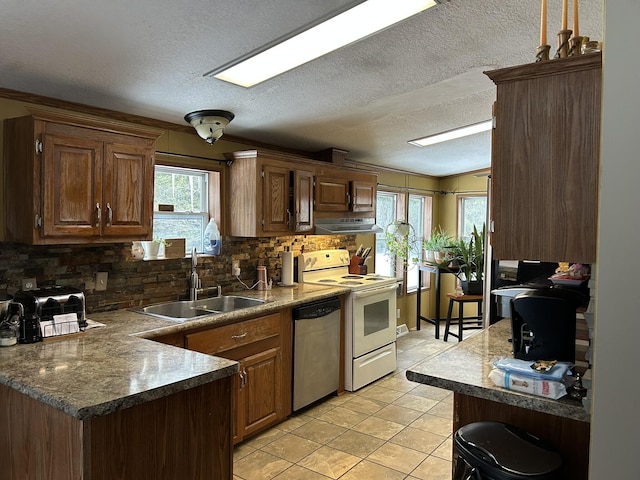 kitchen with electric range, a sink, stainless steel dishwasher, exhaust hood, and tasteful backsplash