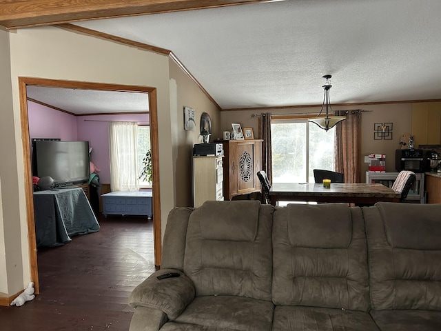 living area featuring crown molding, wood finished floors, a healthy amount of sunlight, and a textured ceiling