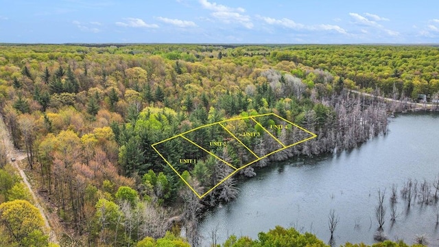 UNIT2 Lakeview Dr, Gaylord MI, 49735 land for sale