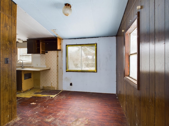 kitchen featuring a sink, dark brown cabinets, wood finished floors, and wood walls