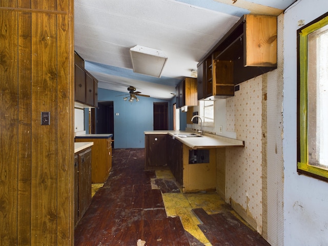 kitchen featuring a sink, a wealth of natural light, a ceiling fan, and light countertops