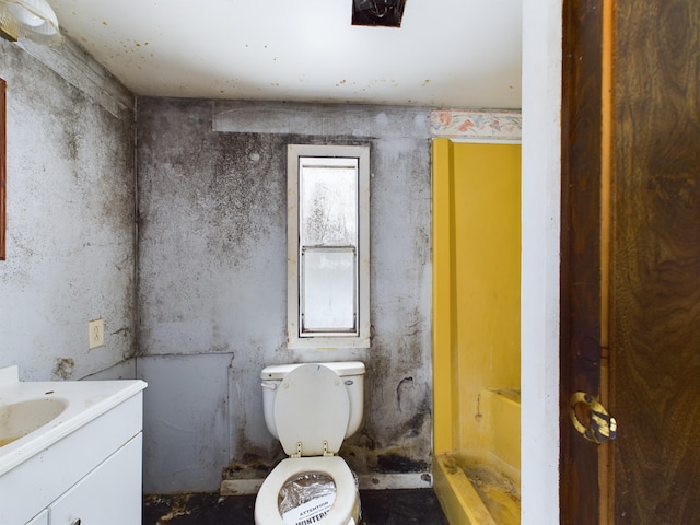 bathroom with toilet and vanity