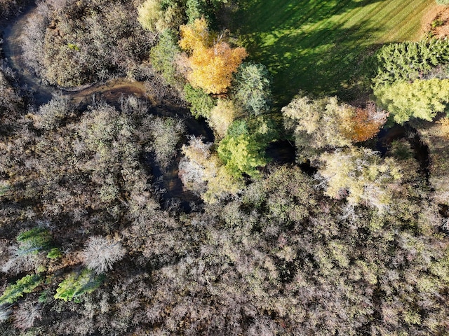 aerial view featuring a wooded view