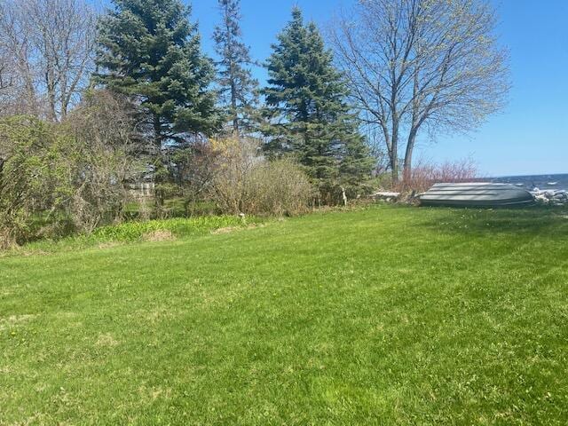 424 S State Ave, Alpena, MI 49707 - view of yard