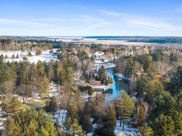 bird's eye view with a view of trees and a water view