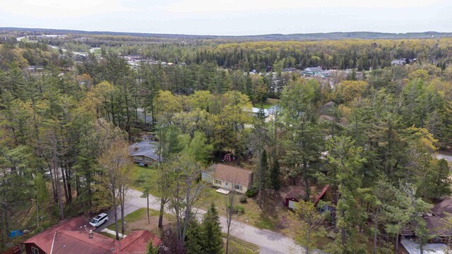 6441 Holden Rd, Indian River, MI 49749 - bird's eye view of a forest