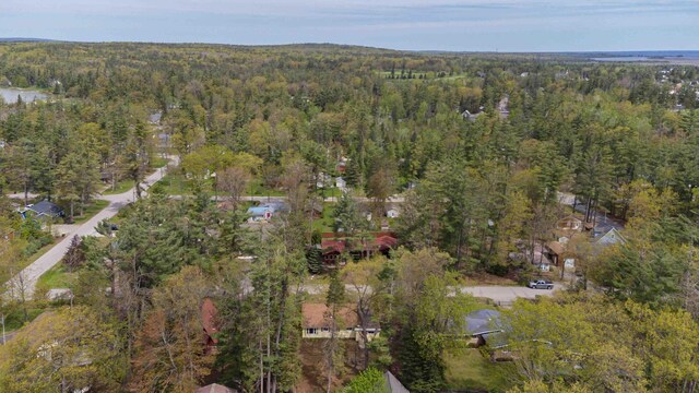6441 Holden Rd, Indian River, MI 49749 - view of property location with a heavily wooded area