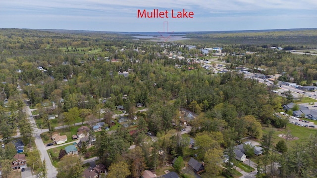 6441 Holden Rd, Indian River, MI 49749 - aerial overview of property's location featuring a heavily wooded area