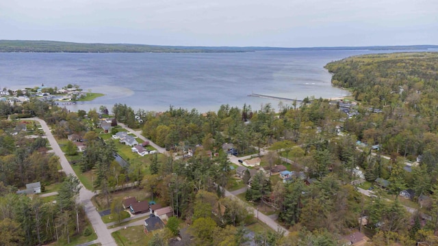 6441 Holden Rd, Indian River, MI 49749 - aerial view of property and surrounding area featuring a nearby body of water