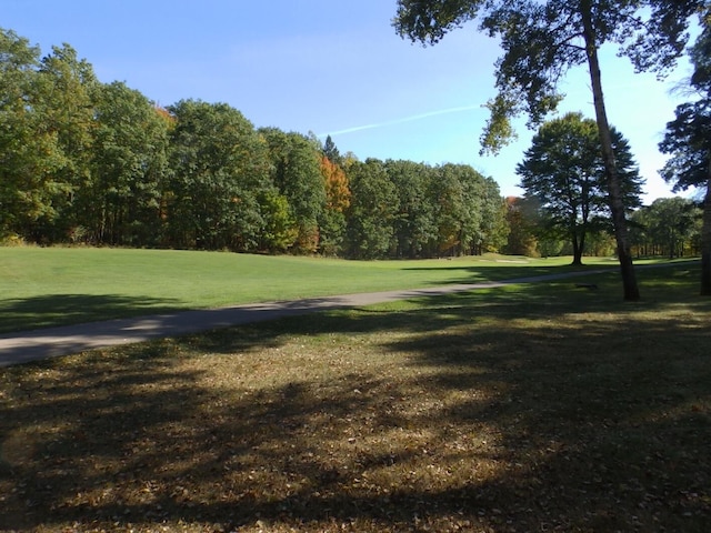 view of property's community with a yard