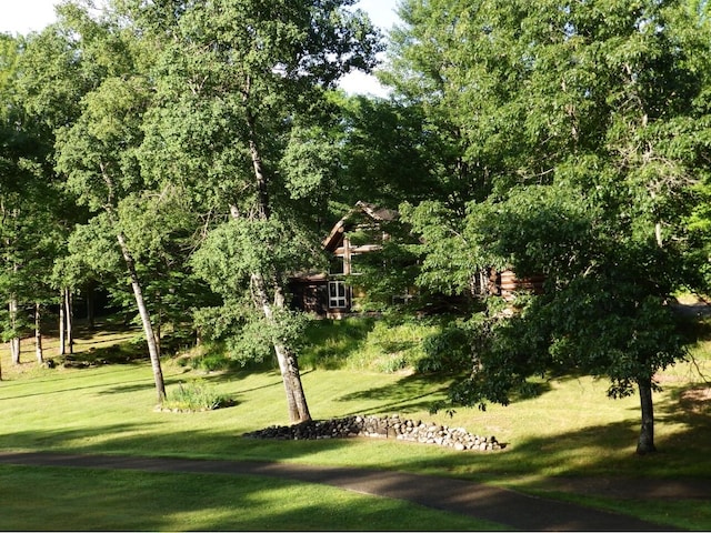 view of property's community featuring a yard