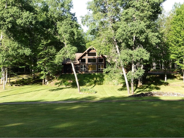 view of community featuring a yard