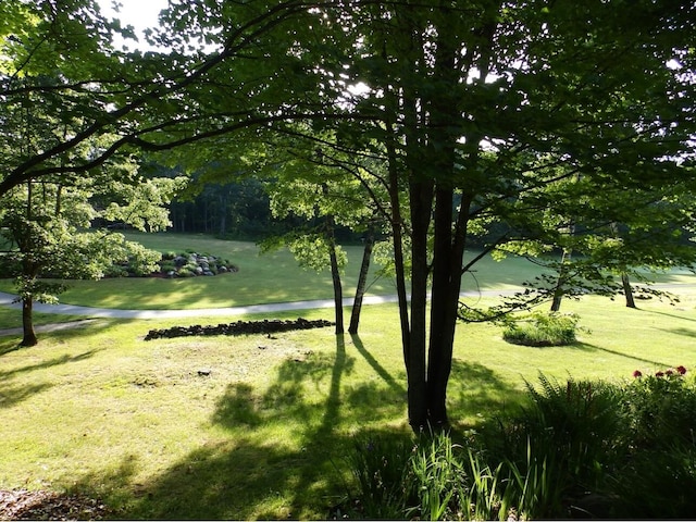 view of community featuring a yard and a water view