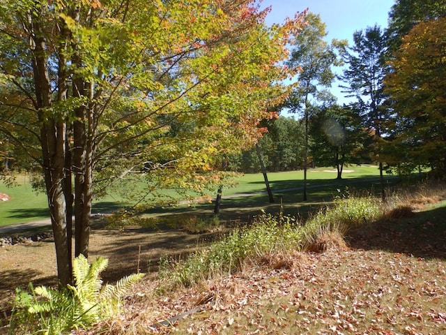 view of home's community