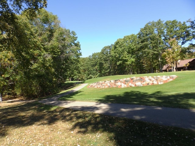 view of community featuring a lawn