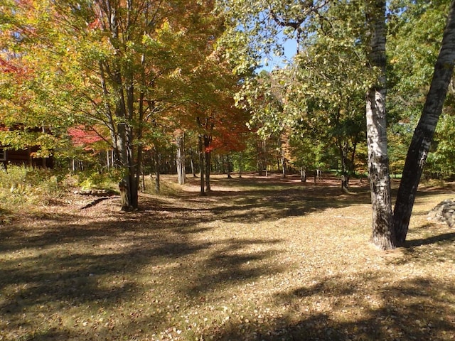 view of surrounding community