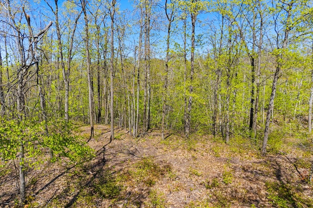0 Woodridge, Gaylord, MI 49735 - photo 2