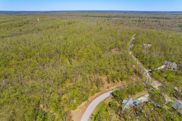 0 Woodridge, Gaylord, MI 49735 - photo 8