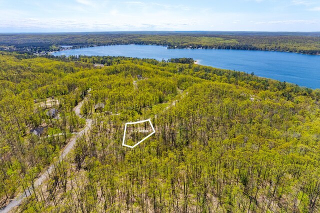 0 Woodridge, Gaylord, MI 49735 - photo 4