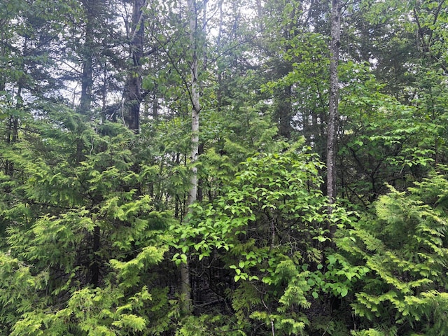 Doyle Dr, Presque Isle, MI 49777