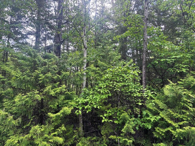 Doyle Dr, Presque Isle, MI 49777 - photo 18