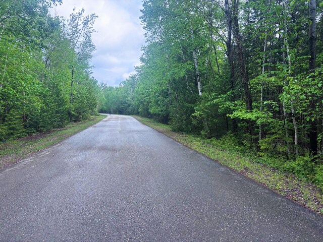 Doyle Dr, Presque Isle, MI 49777 - photo 19