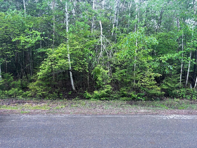 Doyle Dr, Presque Isle, MI 49777