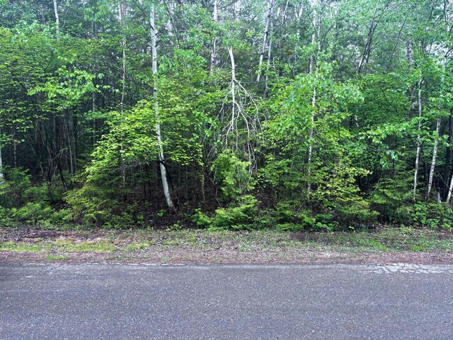 Doyle Dr, Presque Isle, MI 49777 - photo 20