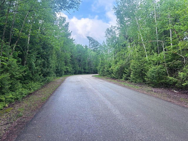Doyle Dr, Presque Isle, MI 49777