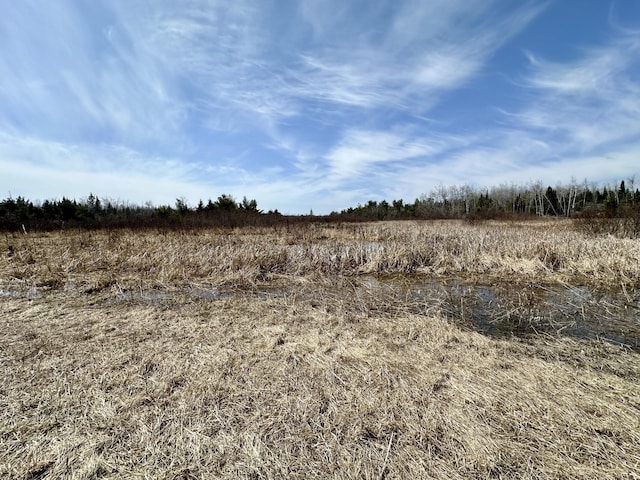 6348 Zolner Rd, Cheboygan, MI 49721 - view of local wilderness