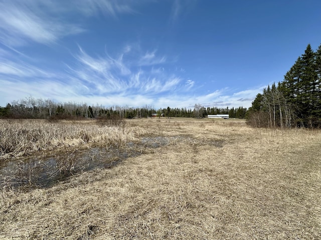 6348 Zolner Rd, Cheboygan, MI 49721 - view of landscape with a rural view