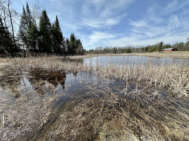 6348 Zolner Rd, Cheboygan, MI 49721 - property view of water