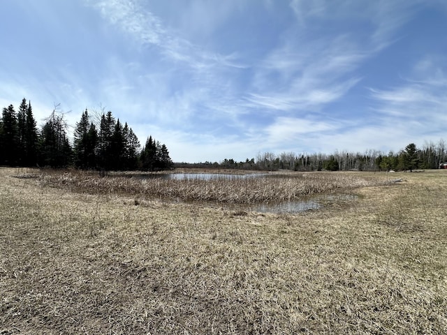 6348 Zolner Rd, Cheboygan, MI 49721 - view of landscape featuring a water view