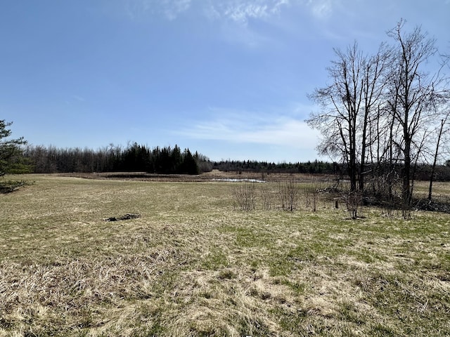 6348 Zolner Rd, Cheboygan, MI 49721 - view of yard featuring a rural view