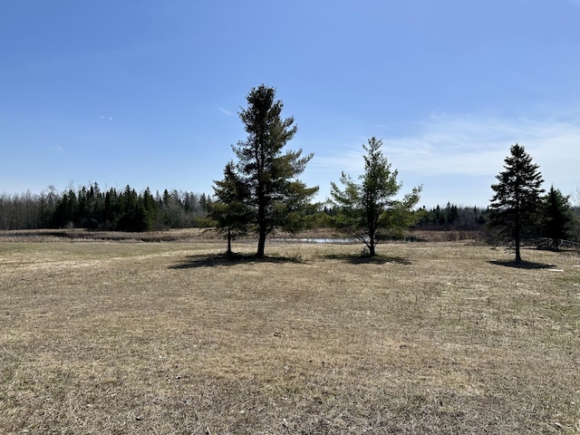 6348 Zolner Rd, Cheboygan, MI 49721 - view of yard