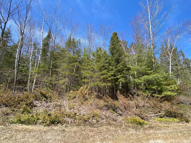 LOT254 Pineview Dr, Presque Isle MI, 49777 land for sale