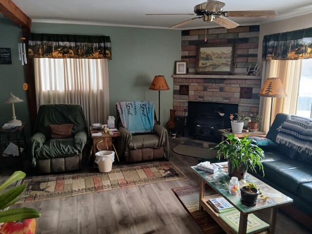 living room featuring a fireplace, crown molding, ceiling fan, and wood finished floors