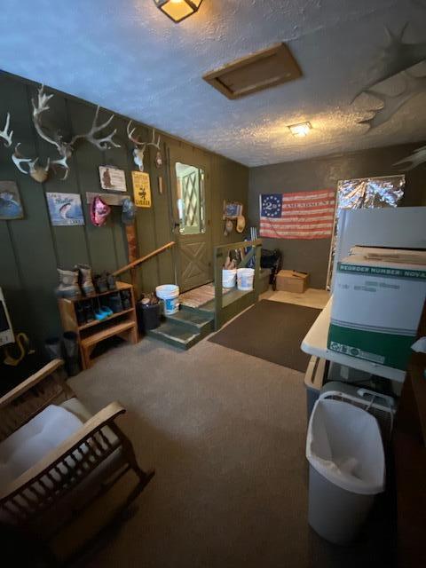 game room featuring attic access, carpet floors, and a textured ceiling