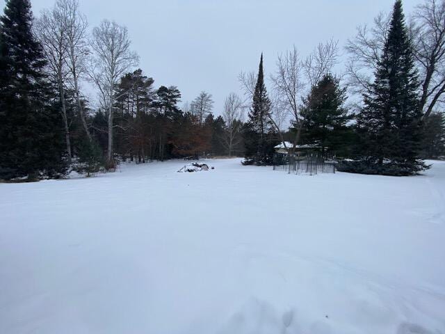 view of yard covered in snow