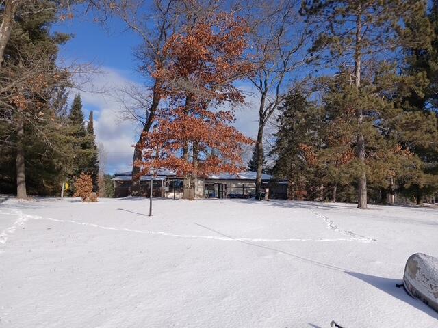 view of snowy yard