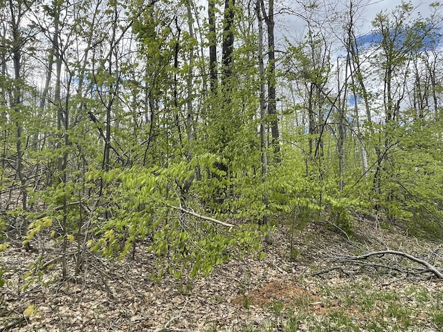 990-994 Arawak Pass, Gaylord, MI 49735