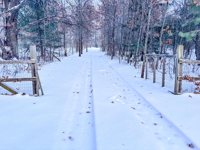 view of yard covered in snow