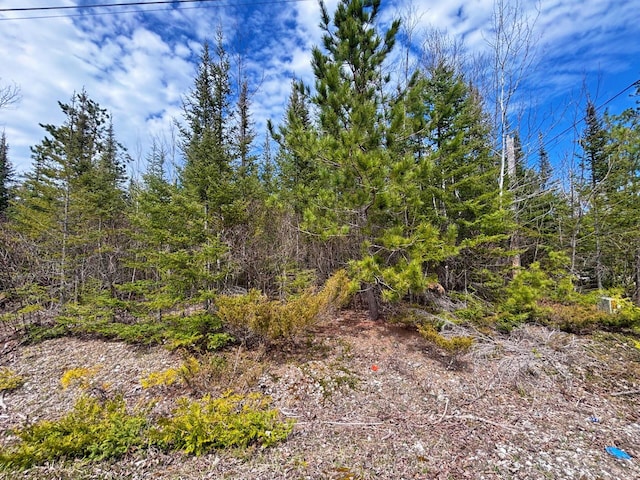 LOT116 W Norwood Ct, Presque Isle, MI 49777 - photo 1